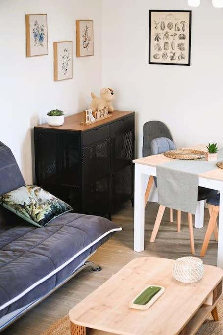 2 A 4 Pers Cosy A Proximite Du Centre Et Des Thermes Appartement Bagnères-de-Bigorre